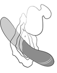 Romp Kiss Fingervibrator - Lustly