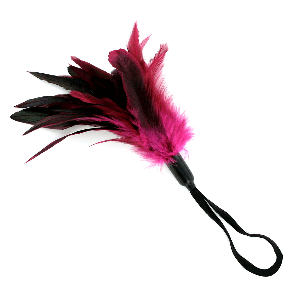 Sportsheets Pleasure Feather Tickler Rosa - Lustly