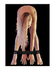 Spreader Bar Hand & Ankle Cuffs - Lustly