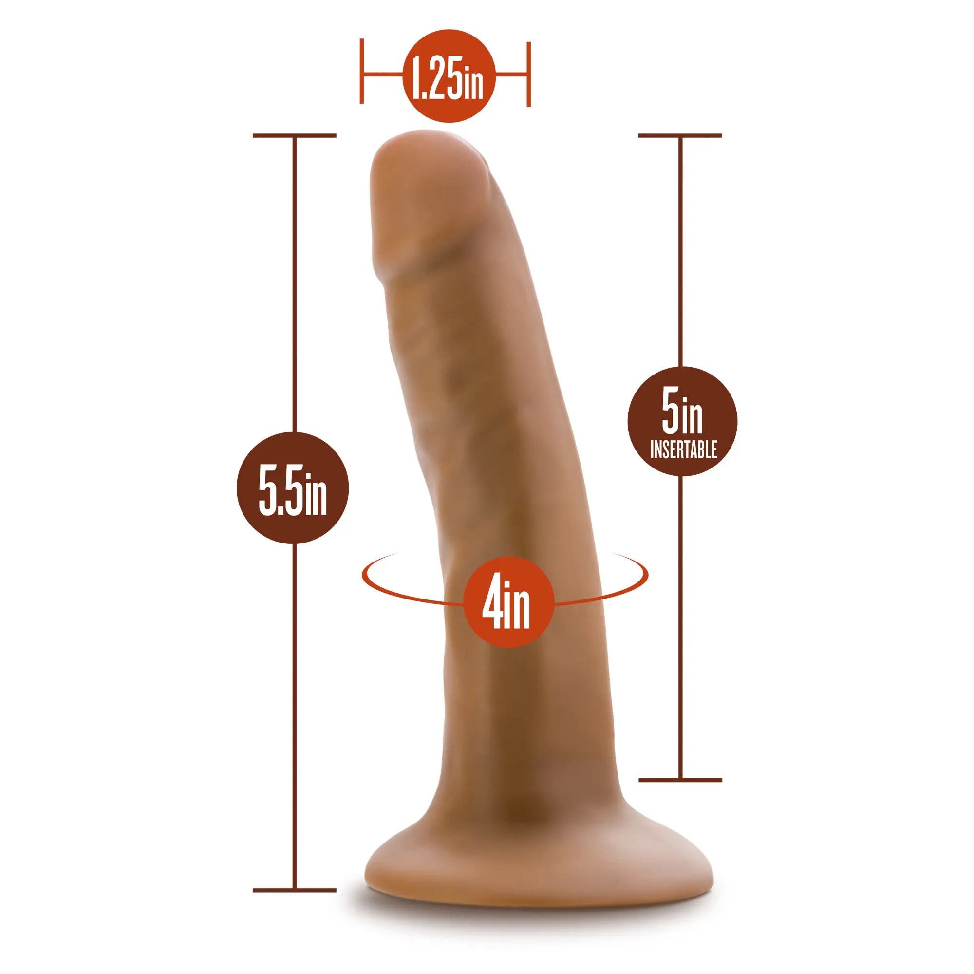 Måtten till produkten Dr. Skin Realistic Dildo Mocha 14 cm