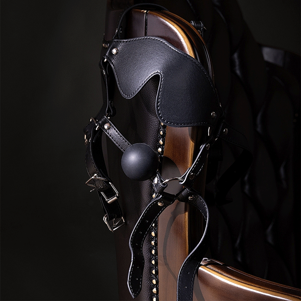 Moodbild på Blindfolded Head Harness with Solid Ball Gag mot svart bakgrund.