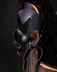 Moodbild på Blindfolded Head Harness with Solid Ball Gag mot svart bakgrund.