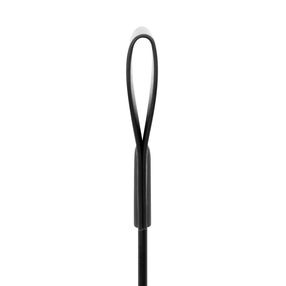 EasyToys Svart Lång Piska - Lustly