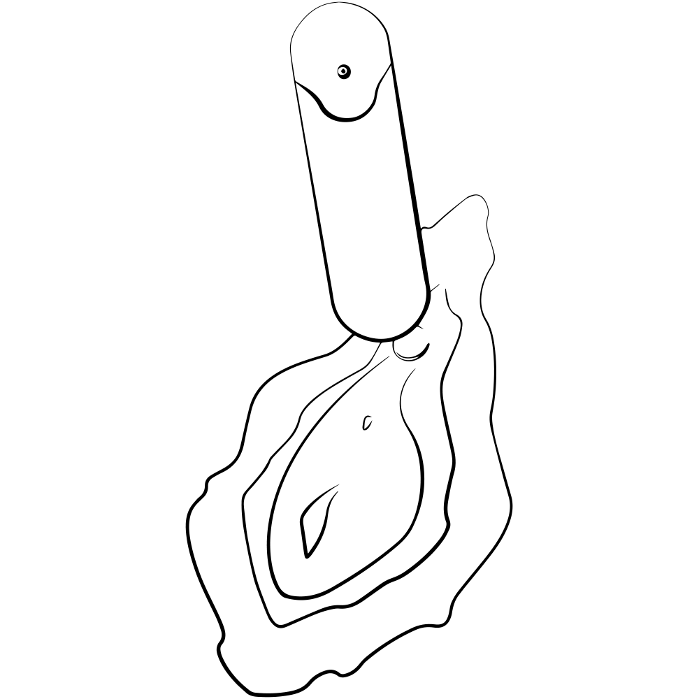 ROMP Riot Klitorisvibrator - Lustly