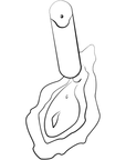 ROMP Riot Klitorisvibrator - Lustly