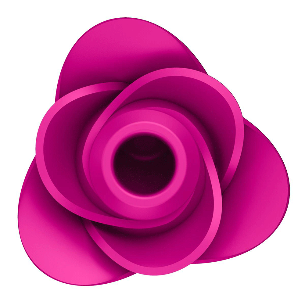 Satisfyer Pro 2 - Modern Blossom Lufttrycksvibrator - Lustly